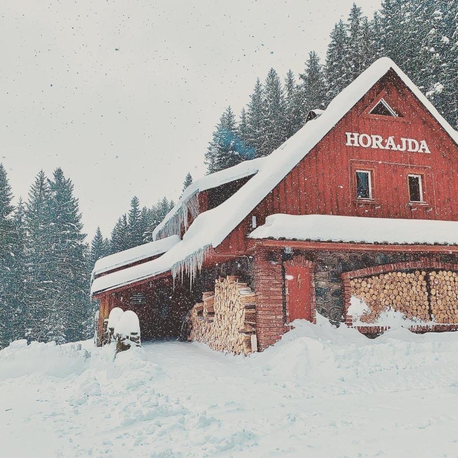 Hotel Penzion Horajda Vítkovice Exterior foto